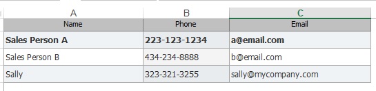 Exported Sales Person list